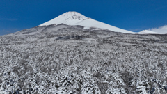 Mt. Fuji 厳冬の水ヶ塚 (冬景色)_0268