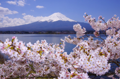 富士山　河口湖　PENTAX-K5 -2012.4.24-JPGp4216cs-