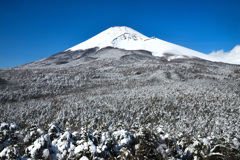 Mt. Fuji 水ヶ塚・腰切塚展望台 2024年2月9日 D850_1484