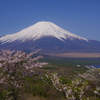 富士山_山中湖パノラマ台の桜 PENTAX-K5-JPG5178-