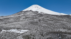 Mt. Fuji  水ヶ塚 片蓋山 (冬景色)　2024年2月10日