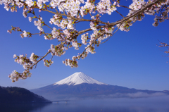 富士山　河口湖　PENTAX-K5 2012年4月24日 JPG 16MB-39