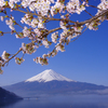 富士山　河口湖　PENTAX-K5 2012年4月24日 JPG 16MB-39