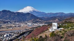 Mt.Fuji 河津桜・神奈川県松田町_2025年2月19日MAVIC3_004