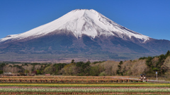 Mt.Fuji 山中湖 花の都公園 2025年4月30日_MAVIC3_0040