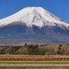 Mt.Fuji 山中湖 花の都公園 2025年4月30日_MAVIC3_0040