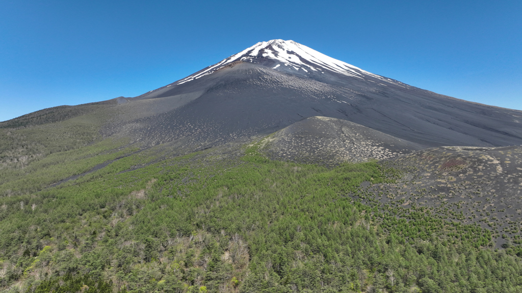 Mt. Fuji 御殿庭・幕岩 樹林帯 2024年5月10日MAVIC3_973