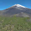 Mt. Fuji 御殿庭・幕岩 樹林帯 2024年5月10日MAVIC3_973