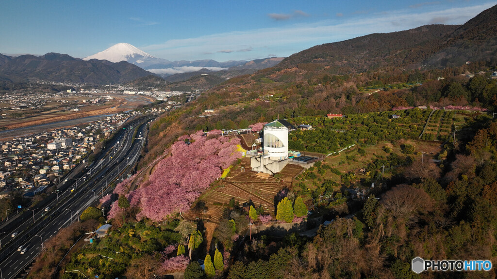富士山 空撮 松田町 河津桜 2023年2月25日 DJI_MAVIC3 CL-