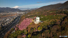 富士山 空撮 松田町 河津桜 2023年2月25日 DJI_MAVIC3 CL-