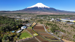 Mt. Fuji 花の都公園 全景 2025年5月3日_MAVIC3_0074_