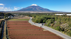 山中湖･花の都公園｢忍野富士｣2023年10月22日 DJI_MAVIC3