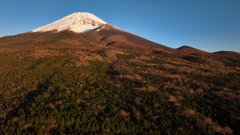 Mt. Fuji 水ヶ塚「富士紅葉」