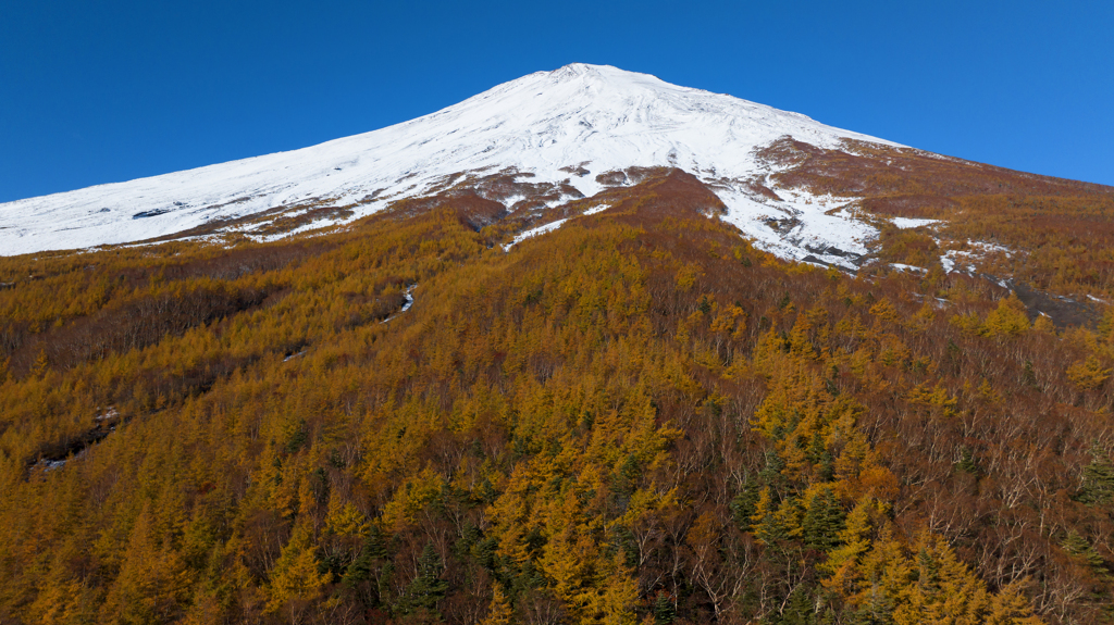 須走富士 森林限界 DJI_MAVIC3_18MB-092_Mac