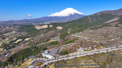 Mt. Fuji 冨士霊園・桜 2025年4月12日_MAVIC3_0012n