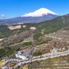 Mt. Fuji 冨士霊園・桜 2025年4月12日_MAVIC3_0012n