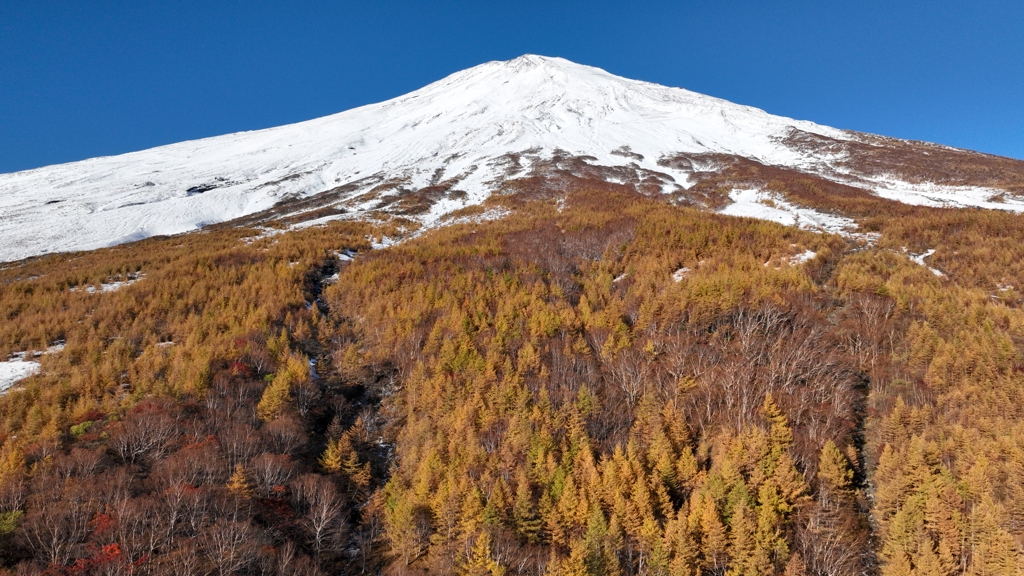 Mt.Fuji「富士唐松黄葉」2023年10月30日 DJI_MAVIC3