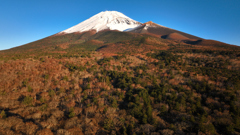 Mt. Fuji 富士紅葉（宝永山）