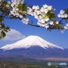 富士山 山中湖・大島桜　2012年5月5日 PENTAX K5 -JPG_521
