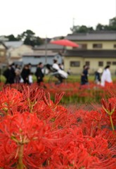 花嫁行列