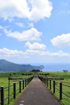 道
