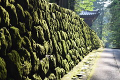苔壁