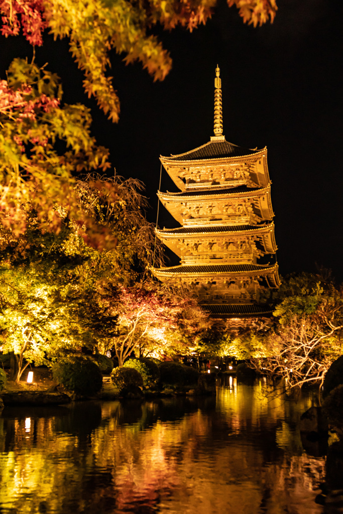 東寺 ライトアップ 