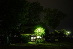 夜の散歩