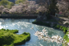 過行く日々
