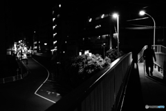 夜の散歩03