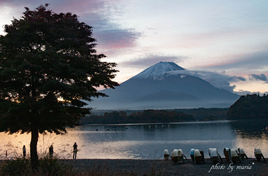 魅了する富士山