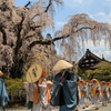 久遠寺へお参りに・・①