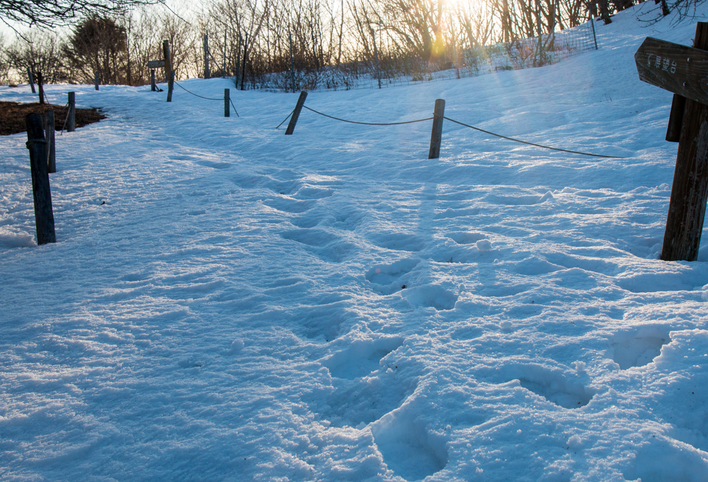 残雪を踏みながら探す富士