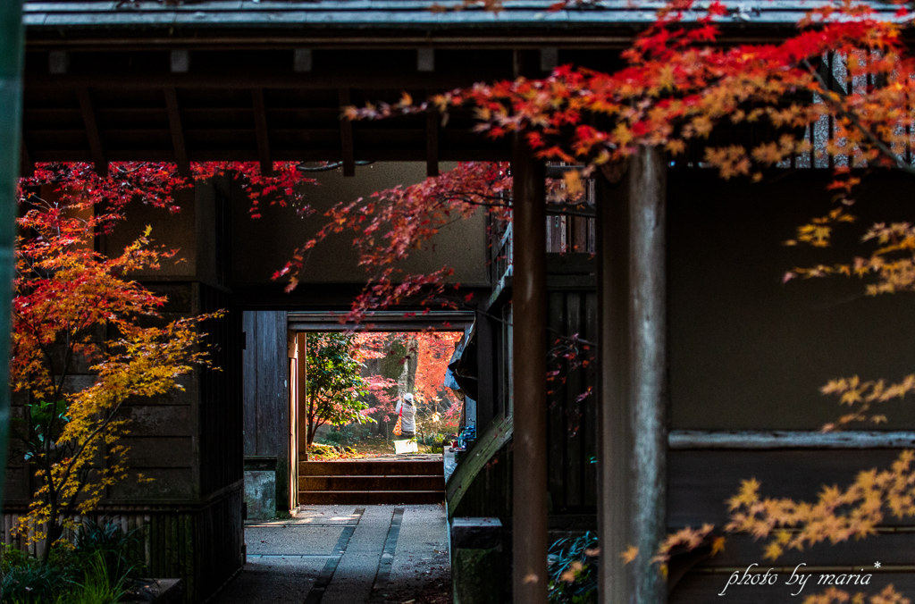 紅葉の入口