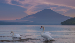 湖畔の休日