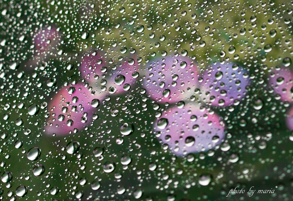 rain on and off