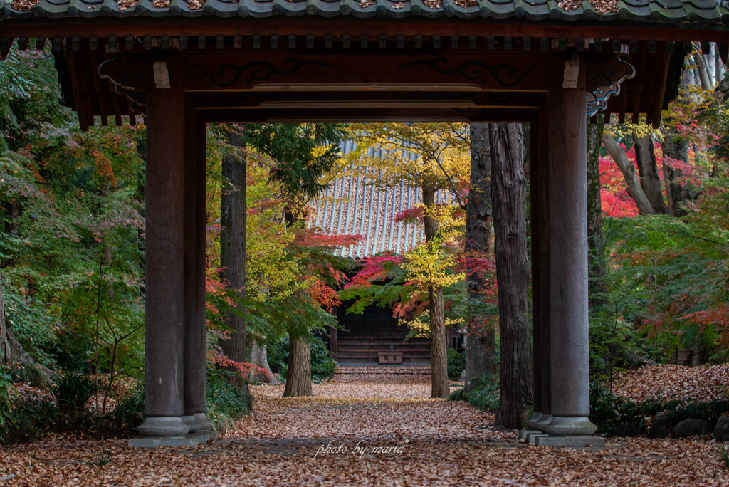 参道の庭