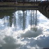 池の中の冬のメタセコイア