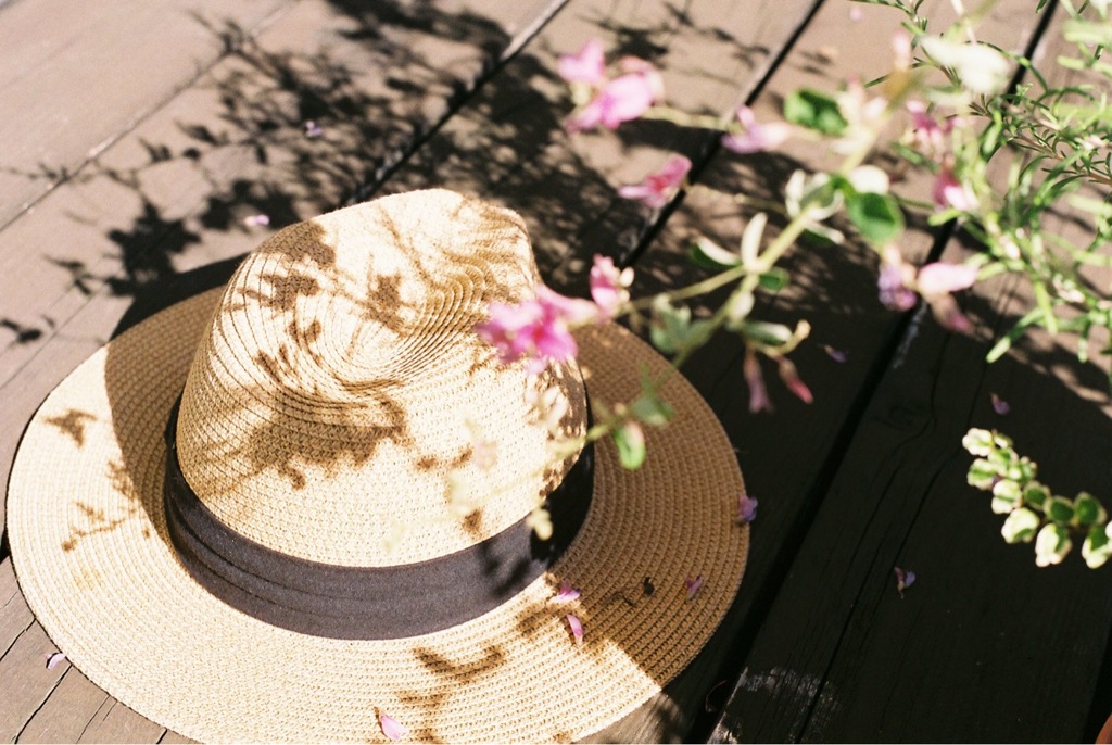 夏の忘れもの