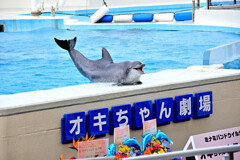オキちゃん