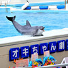 オキちゃん