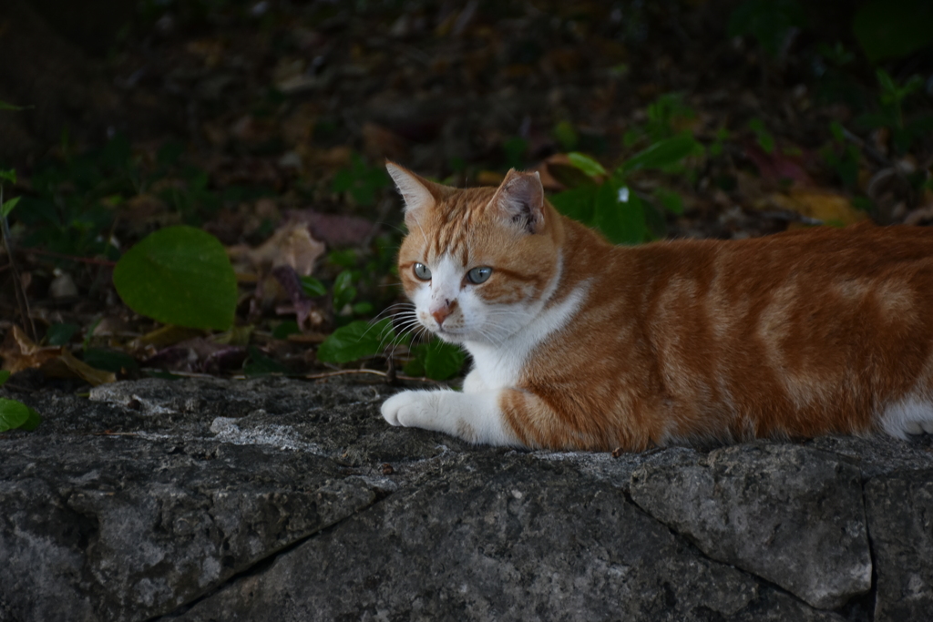 目線の向こうには