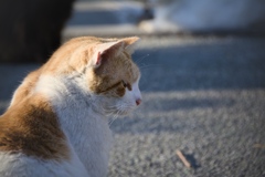 視線の先は