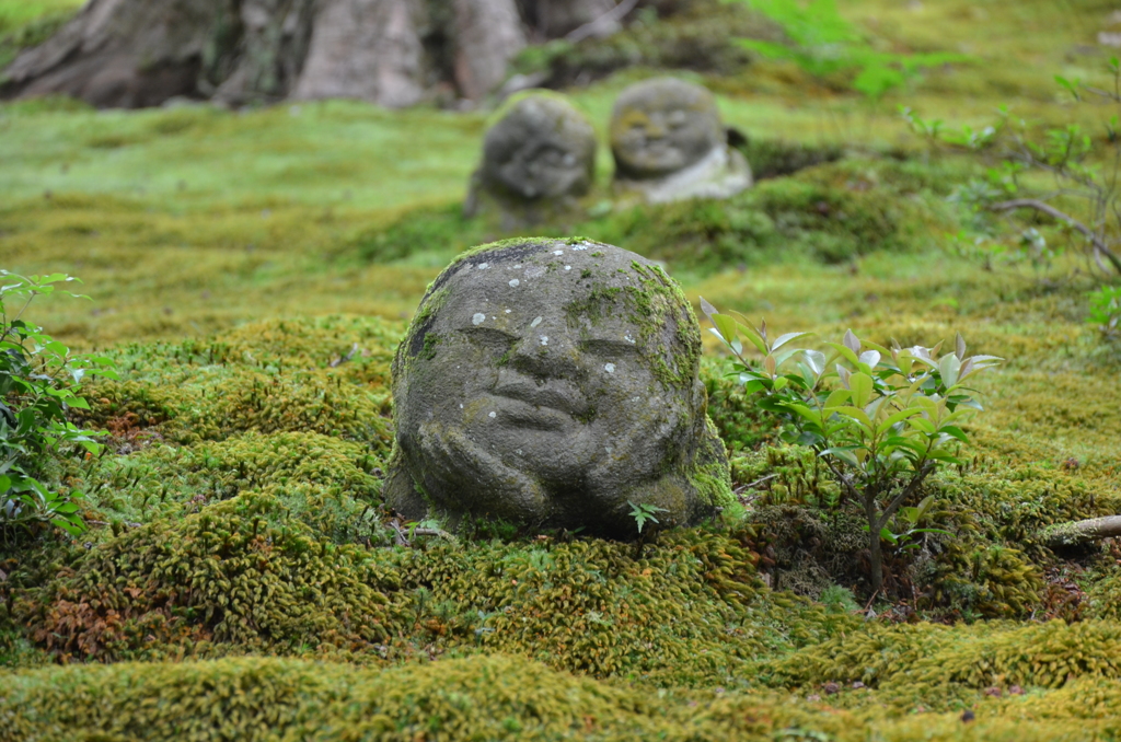 京都 三千院