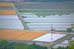 田園
