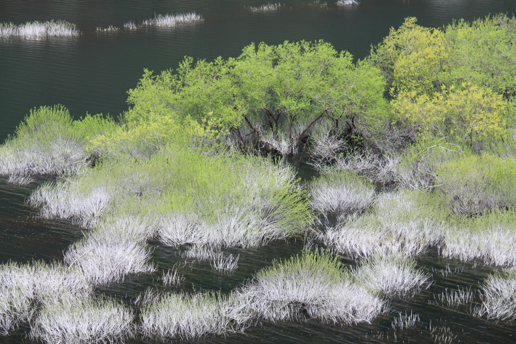 吊り橋からの不思議な風景