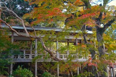 寺秋