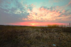 IMG_6111-2