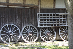 日向ぼっこ