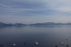霧湖